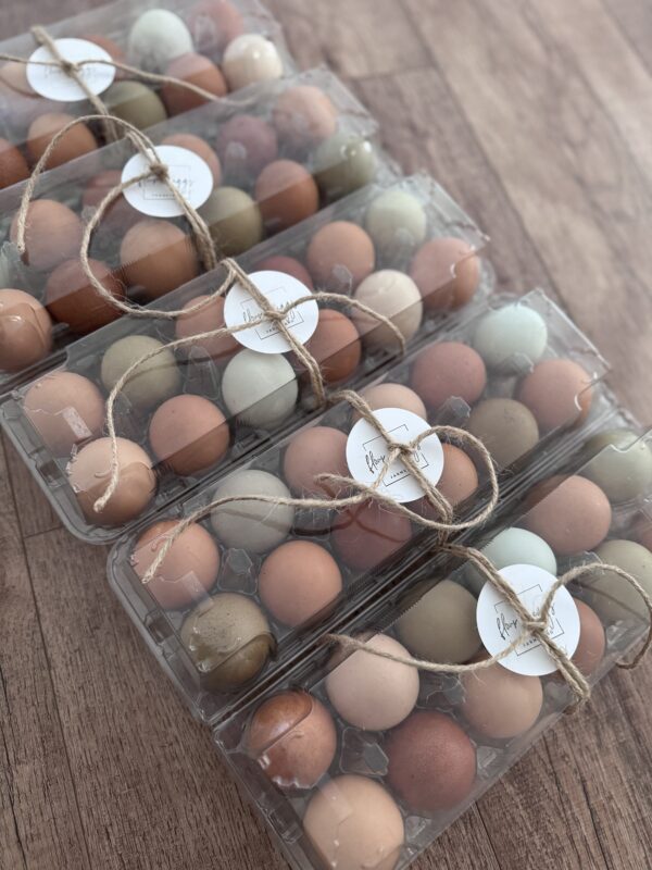 One Dozen Eggs
