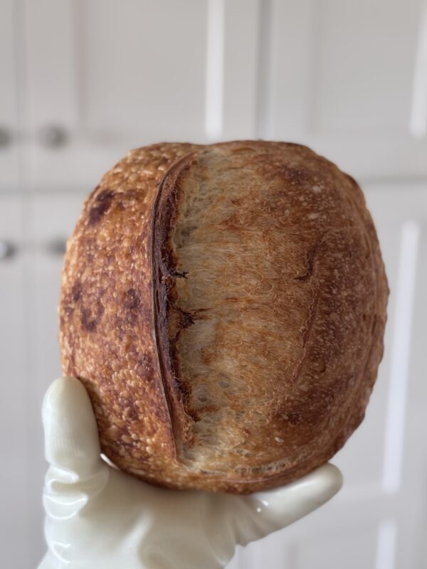 Original Sourdough Batard