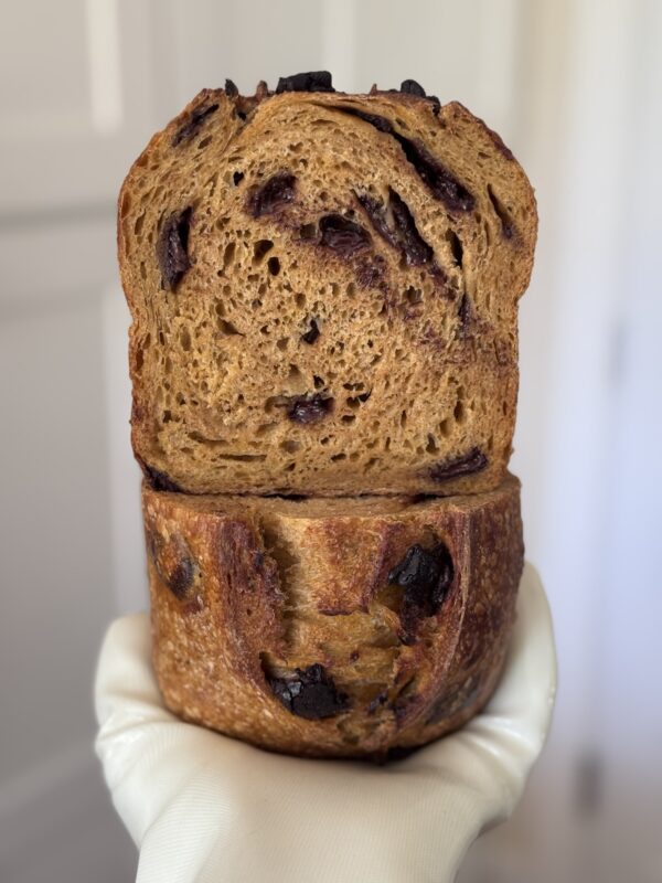 Sourdough Pumpkin Chocolate Chip